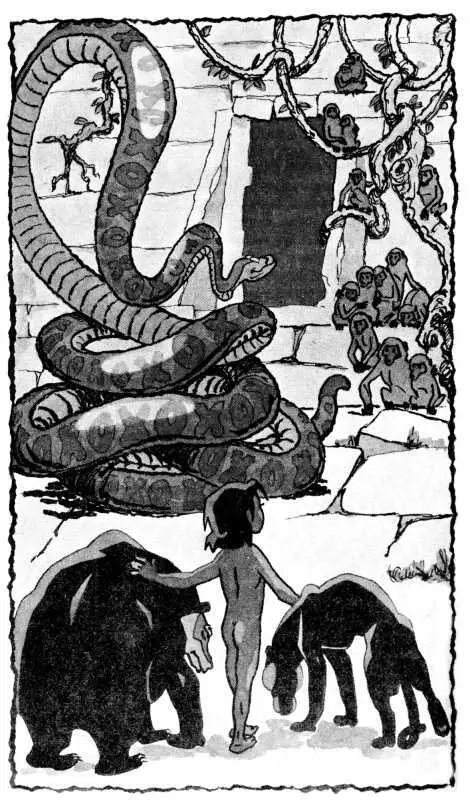 Маугли положил свои руки на Балу и на Багиру чтобы увести их и два больших - фото 8