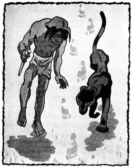 Тут он побежал быстро сказал Маугли Посмотри пальцы сильно - фото 19