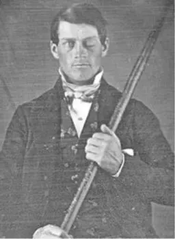 1848 г А это звезда фрикшоу Бородатая Леди из Женевы 1853 г Фотошоп - фото 19