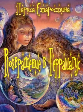 Лариса Старостина Возвращение в Террамагус обложка книги