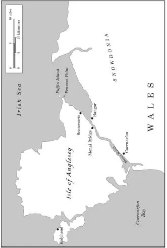 So this was the Isle of Anglesey Runcorn stood on the rugged headland and - фото 2