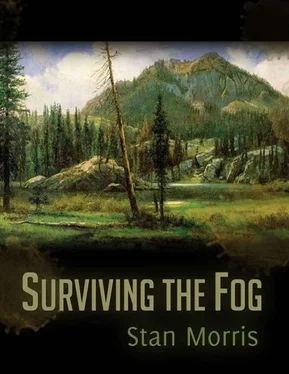 Stan Morris Surviving the Fog обложка книги