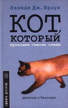 Лилиан Браун Кот, который проходил сквозь стены обложка книги