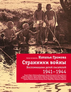 Наталья Громова Странники войны: Воспоминания детей писателей. 1941-1944 обложка книги