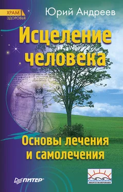 Юрий Андреев Исцеление человека обложка книги