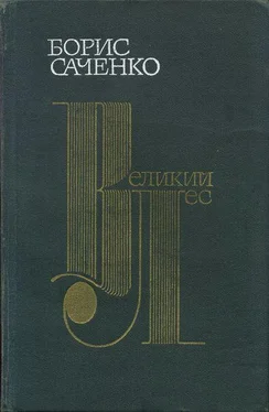 Борис Саченко Великий лес обложка книги