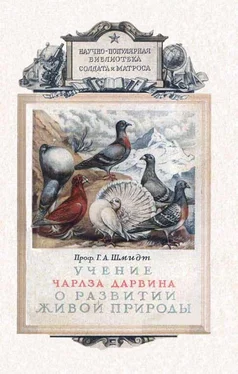 Г. Шмидт Учение Чарлза Дарвина о развитии живой природы обложка книги