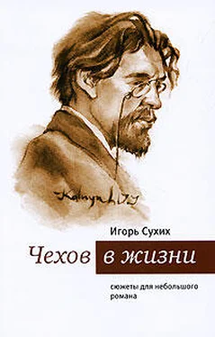 Игорь Сухих Чехов в жизни: сюжеты для небольшого романа обложка книги