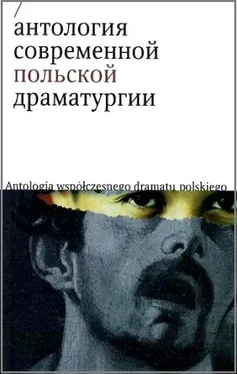 Ксения Старосельская Антология современной польской драматургии обложка книги