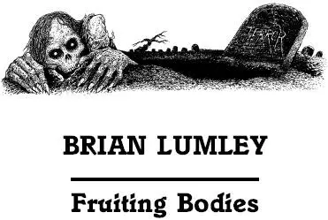 BRIAN LUMLEY WAS BORN on Englands northeast coast nine months after the death - фото 5