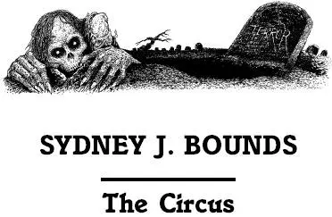 SYDNEY JAMES BOUNDS BEGAN his career by contributing spicy stories to the - фото 9