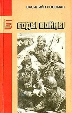 Василий Гроссман Годы войны обложка книги