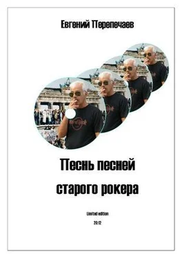 Евгений Перепечаев Песнь песней старого рокера обложка книги