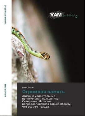 Олег Северюхин Огромная память обложка книги