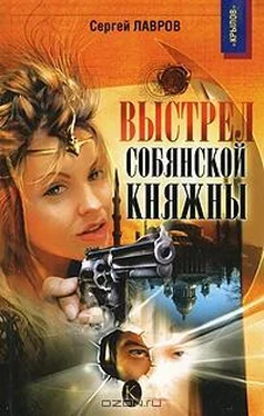 Сергей Лавров Выстрел собянской княжны