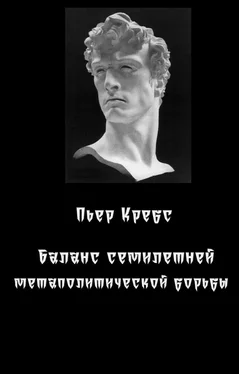 Пьер Кребс Баланс семилетней метаполитической борьбы обложка книги