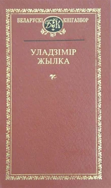 Владимир Жилка Вершы обложка книги