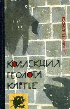 Яков Рыкачев Коллекция геолога Картье обложка книги