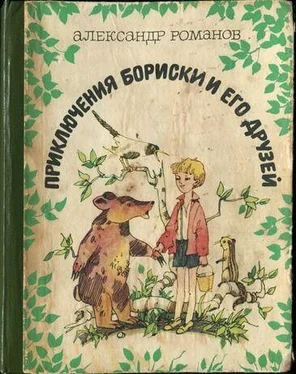 Александр Романов Приключения Бориски и его друзей обложка книги