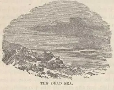 The desert and the barren hills gleam painfully in the sun around the Dead - фото 210