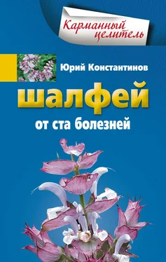 Юрий Константинов Шалфей от 100 болезней обложка книги