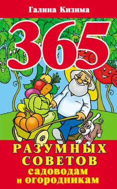 Галина Кизима 365 разумных советов садоводам и огородникам обложка книги