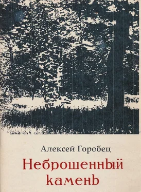 Алексей Горобец Неброшенный камень обложка книги