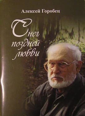 Алексей Горобец Снег поздней любви обложка книги