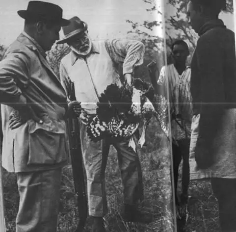Сафари 1953 г Хемингуэй на Кубе 1952 г Вручение Хемингуэю рыбаками - фото 12