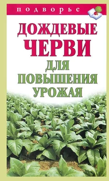 Виктор Горбунов Дождевые черви для повышения урожая обложка книги