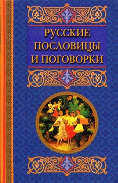 Катерина Берсеньева Русские пословицы и поговорки обложка книги