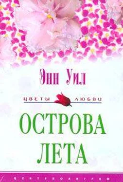 Энн Уил Острова лета обложка книги