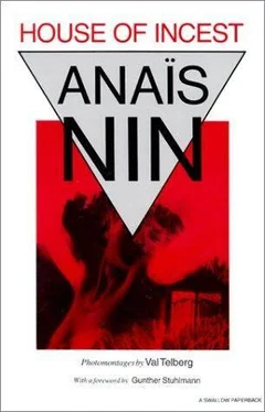 Anaïs Nin House of Incest обложка книги