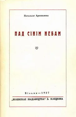 Наталья Арсеньева Пад сінім небам обложка книги