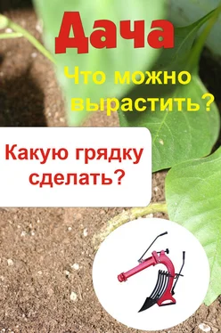 Илья Мельников Что можно вырастить? Какую грядку сделать? обложка книги