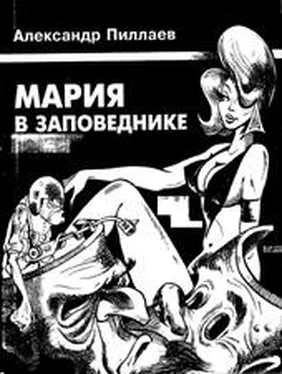 Александр Пиллаев Мария в заповеднике обложка книги