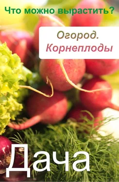 Илья Мельников Огород. Корнеплоды. Что можно вырастить? обложка книги