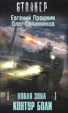 Евгений Прошкин Новая Зона. Контур боли обложка книги