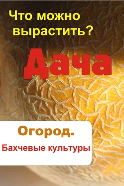 Илья Мельников Что можно вырастить? Огород. Бахчевые культуры обложка книги