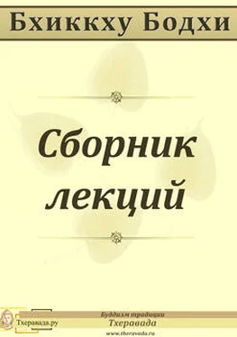 Бхиккху Бодхи Сборник лекций обложка книги