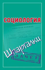 Оринэ Фидорович - Социология. Шпаргалки