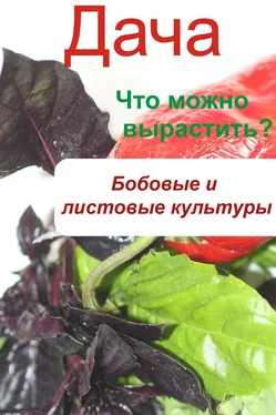 Илья Мельников Что можно вырастить? Огород. Бобовые и листовые культуры обложка книги