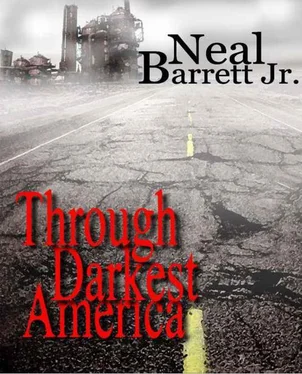 Neal Barrett Through Darkest America обложка книги