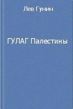 Лев Гунин ГУЛаг Палестины обложка книги