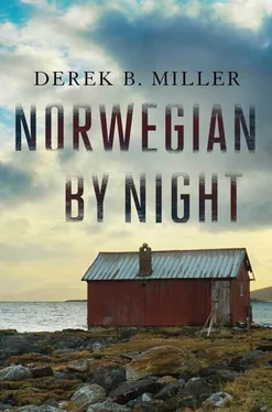 Derek Miller Norwegian by Night обложка книги