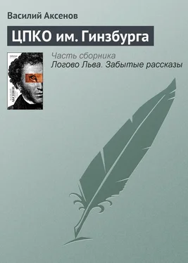 Василий Аксенов ЦПКО им. Гинзбурга обложка книги