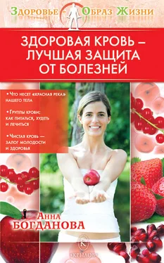 Анна Богданова Здоровая кровь – лучшая защита от болезней обложка книги