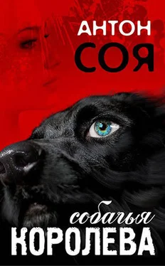 Антон Соя Собачья королева обложка книги