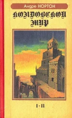Андрэ Нортон - Паутина Колдовского мира
