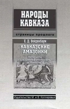 Евгений Вейденбаум Кавказские амазонки обложка книги